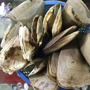 Món ăn- Quán Ăn Năm Y Quán - Hải Sản Nướng Tại Bàn