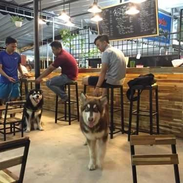 Không gian- Neo Coffee Shop