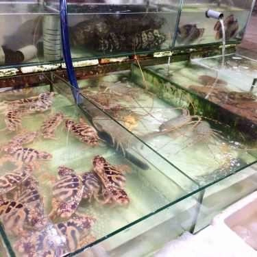 Tổng hợp- Nhà Hàng Bờ Kè Chợ Hải Sản - Hải Sản Tươi Sống