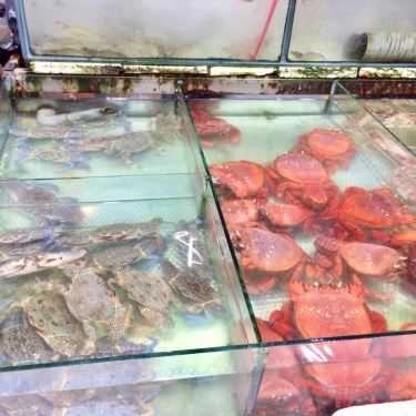 Tổng hợp- Nhà Hàng Bờ Kè Chợ Hải Sản - Hải Sản Tươi Sống