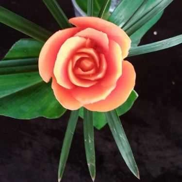 Tổng hợp- Nhà Hàng Đại Dương - Huỳnh Thúc Kháng