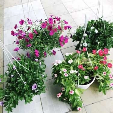 Tổng hợp- Nhà Hàng Gô Mèo - Các Món Ăn Gia Đình