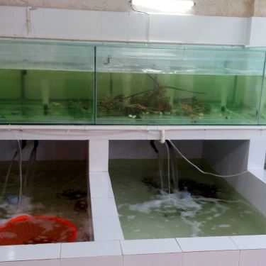 Tổng hợp- Hương Dừa Restaurant & Coffee