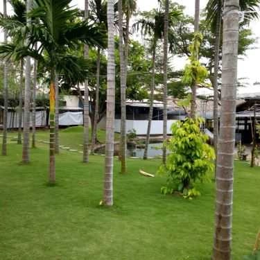 Tổng hợp- Nhà Hàng Làng Chài Mũi Né - Seafood Restaurant
