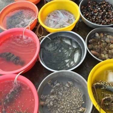 Tổng hợp- Nhà Hàng Hải Sản Mila Quán