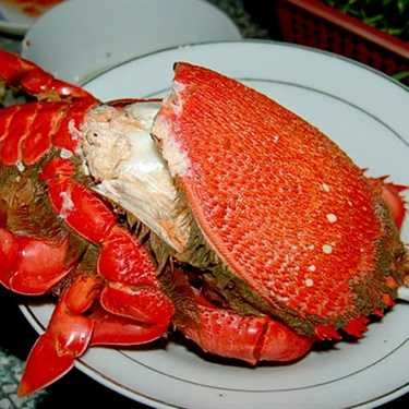 Món ăn- Nhà Hàng - Nhà Nghỉ Biển Vĩnh Hảo