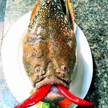 Món ăn- Nhà Hàng - Nhà Nghỉ Biển Vĩnh Hảo