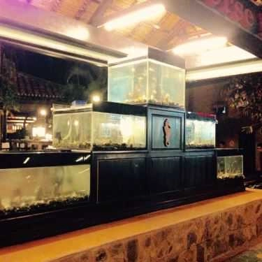 Tổng hợp- Nhà Hàng Seahorse Bistro