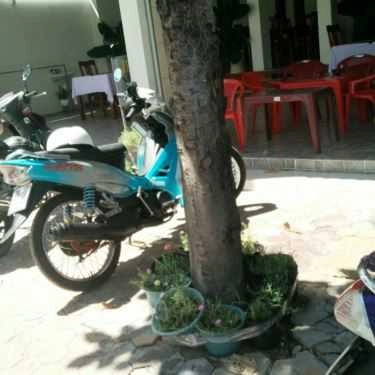 Tổng hợp- Nhà Hàng Thanh Trúc - Cafe & Điểm Tâm Sáng