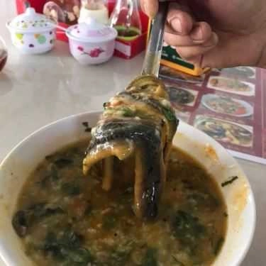 Món ăn- Quán Ăn O Giang Quán - Lươn Nghệ An