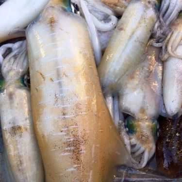 Tổng hợp- Quán Ăn Phan Thiết Quán - Hải Sản Tươi Sống
