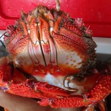 Tổng hợp- Quán Ăn Phan Thiết Quán - Hải Sản Tươi Sống