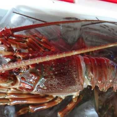 Tổng hợp- Quán Ăn Phan Thiết Quán - Hải Sản Tươi Sống
