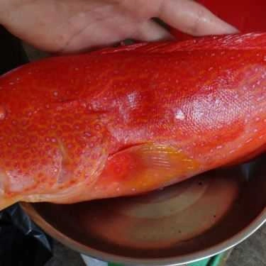 Tổng hợp- Quán Ăn Phan Thiết Quán - Hải Sản Tươi Sống