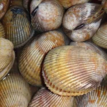 Tổng hợp- Quán Ăn Phan Thiết Quán - Hải Sản Tươi Sống