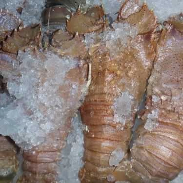 Tổng hợp- Quán Ăn Phan Thiết Quán - Hải Sản Tươi Sống