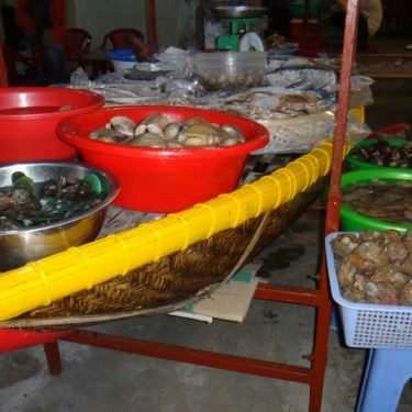 Tổng hợp- Quán Ăn Phan Thiết Quán - Hải Sản Tươi Sống