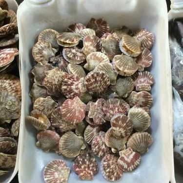 Tổng hợp- Quán Ăn Quán Bờ Kè Tuấn Thảo 180 - Hải Sản Tươi Sống