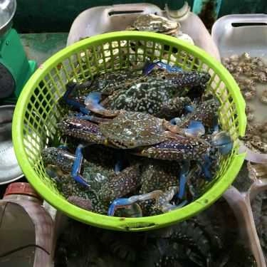 Tổng hợp- Quán Ăn Quán Bờ Kè Tuấn Thảo 180 - Hải Sản Tươi Sống