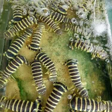 Tổng hợp- Quán Ăn Quán Bờ Kè Tuấn Thảo 180 - Hải Sản Tươi Sống