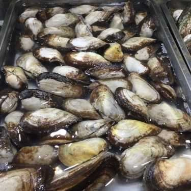 Tổng hợp- Quán Ăn Quán Bờ Kè Tuấn Thảo 180 - Hải Sản Tươi Sống