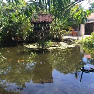 Tổng hợp- Quán Ăn Quán Cá Lóc Chiên Xù Ah