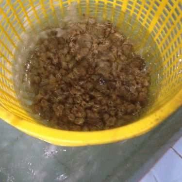 Tổng hợp- Nhà Hàng Cây Bàng - Hải Sản Phan Thiết