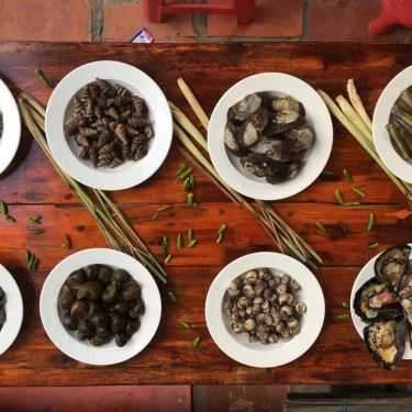 Tổng hợp- Quán Ăn Quán Chất - Ốc & Hải Sản