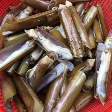 Tổng hợp- Quán Ăn Quán Chất - Ốc & Hải Sản