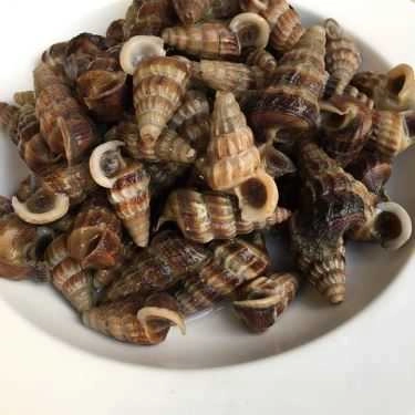 Tổng hợp- Quán Ăn Quán Chất - Ốc & Hải Sản