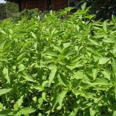 Tổng hợp- Quán Nhậu Hiền 3 - Lẩu Dê, Bò & Hải Sản