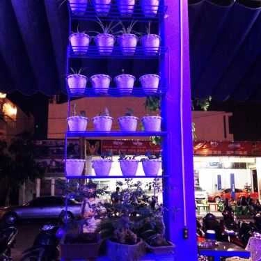 Tổng hợp- Cafe Quán Kem PM