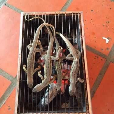 Món ăn- Quán Nhậu Quán Nhân - Hải Sản Tươi Sống
