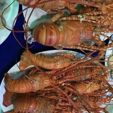 Món ăn- Quán Nhậu Quán Nhân - Hải Sản Tươi Sống