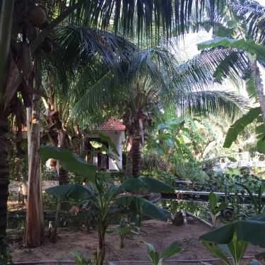 Không gian- Nhà Hàng Saigon Emerald Resort