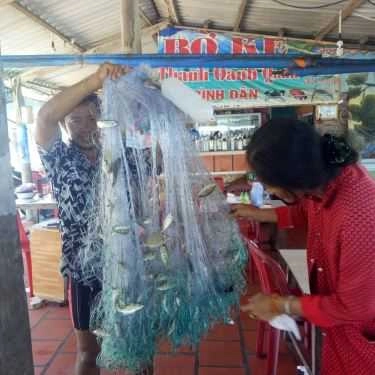 Tổng hợp- Quán Ăn Thanh Oanh - Hải Sản Tươi Sống