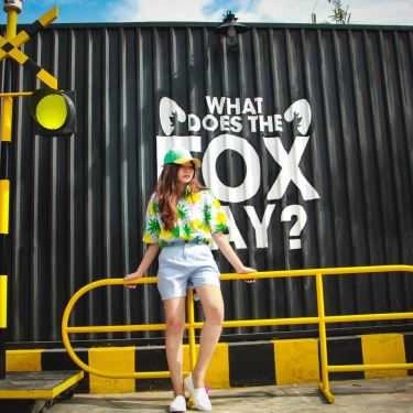 Tổng hợp- The Fox Coffee