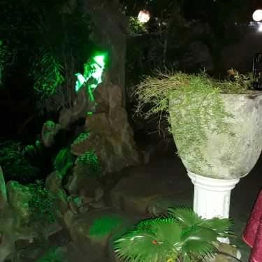 Tổng hợp- The Hill Cafe