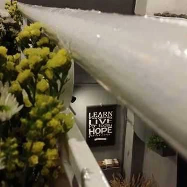 Tổng hợp- The Lavy Cafe