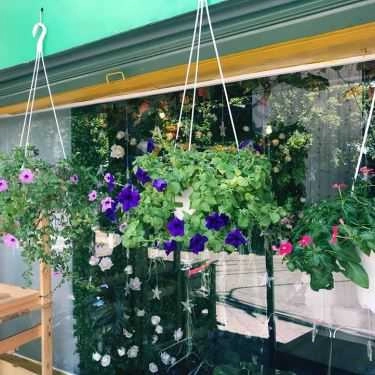 Tổng hợp- Cafe Trà Sữa GoCha