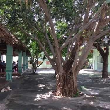 Không gian- Nhà Hàng Việt Phương - Quán Ăn Gia Đình