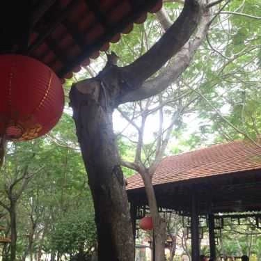 Tổng hợp- Vườn Lim Cafe