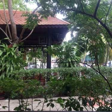 Tổng hợp- Vườn Lim Cafe
