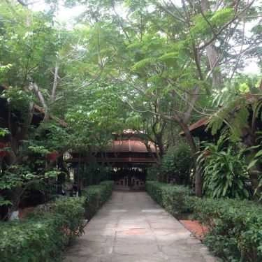 Tổng hợp- Vườn Lim Cafe