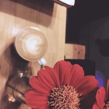 Tổng hợp- Cafe Yolo Kafe