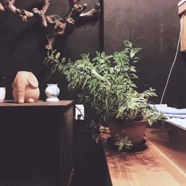 Tổng hợp- Cafe Yolo Kafe