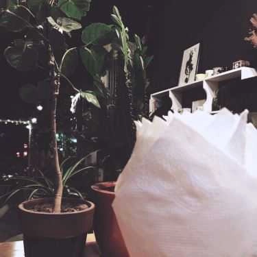 Tổng hợp- Cafe Yolo Kafe