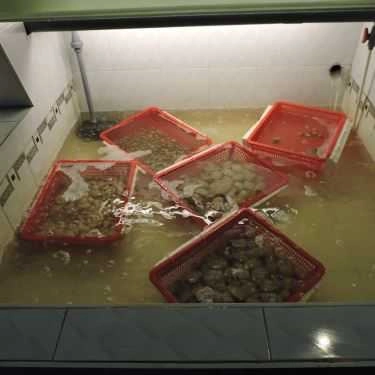 Tổng hợp- Quán Ăn Ẩm Thực Hoàng Hổ - Hải Sản Tươi Sống Cà Mau