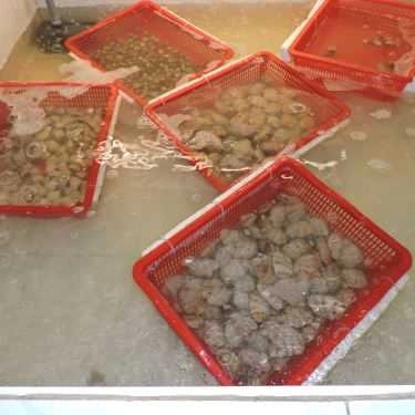 Tổng hợp- Quán Ăn Ẩm Thực Hoàng Hổ - Hải Sản Tươi Sống Cà Mau