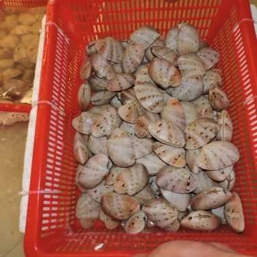 Tổng hợp- Quán Ăn Ẩm Thực Hoàng Hổ - Hải Sản Tươi Sống Cà Mau